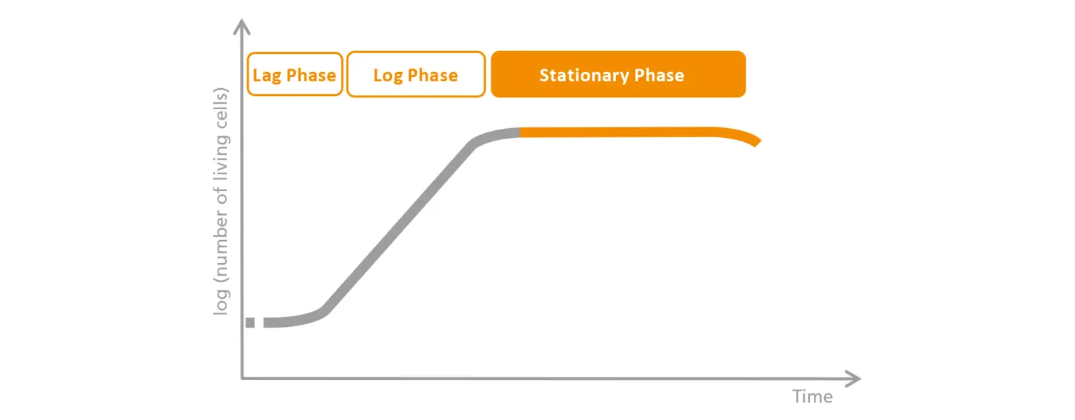 Schematic-representation-of-the-stationary-phase_2048x800-1536x600.png