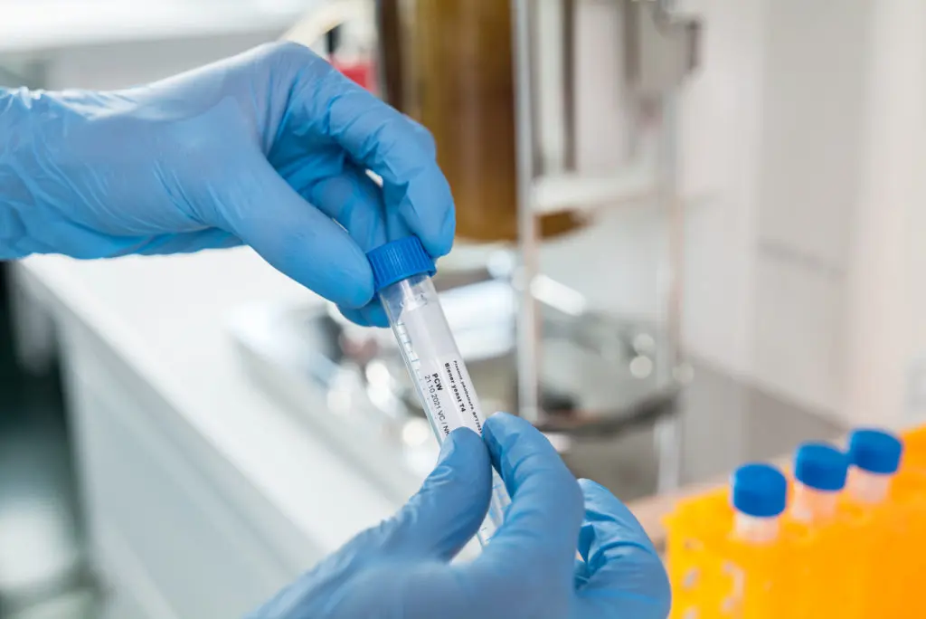 labelling-probe-1024x684.jpg