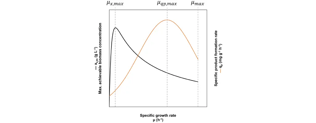 INFORSHT-Grafik-3-Blog.jpg
