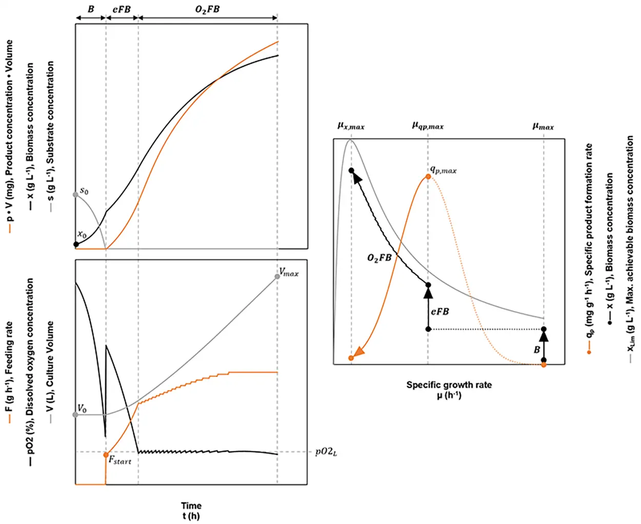 Schematic-optimizedfed-batch_300dpi.png