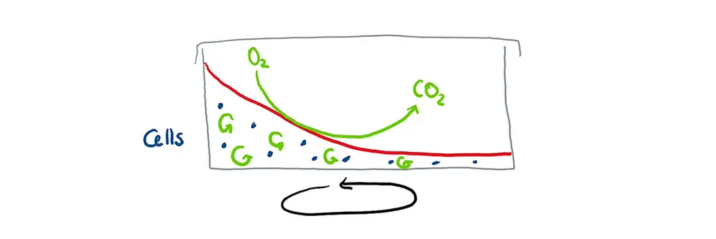 shaken-cells.jpg