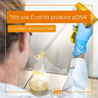 E.coli to produce pDNA - Citation FHNW Reseacher D.von Blarer